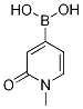 1-Methyl-2-oxo-1,2-dihydropyridin-4-yl boronic acid