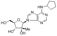 N--2'-C-׻