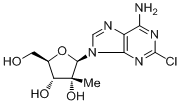 2--2'-C-׻