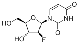 2'-Deoxy-2'-fluoro-beta-D-arabinouridine