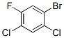 2,4-Dichloro-5-fluorobromobenzene